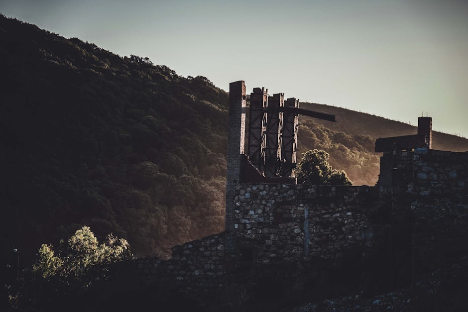 Aged medieval stone castle located on hill slope covered with lush green trees against cloudless sunset sky