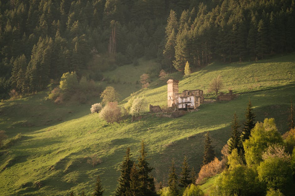 Discover the serene beauty of an ancient castle ruin nestled among lush green hills and dense forest trees.